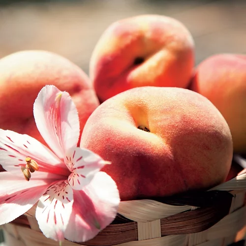 produit: White nectarine & pink coral