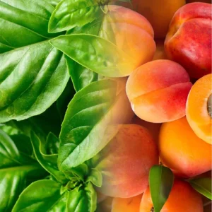 Apricot & basil Fragrance Oil