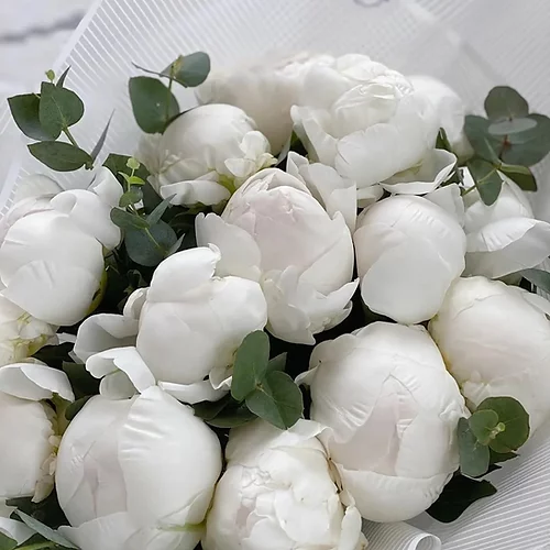 produit: White peony