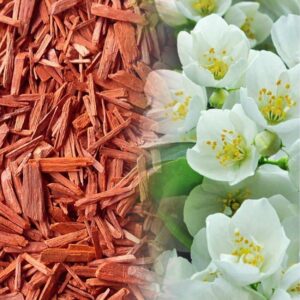 Jasmine & Sandalwood Fragrance Oil