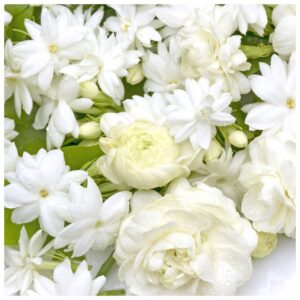 Gardenia & tuberose Fragrance Oil