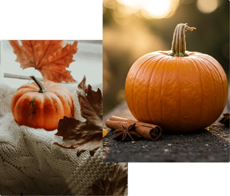 Fall Fragrances
