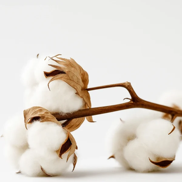 Cotton Flower | Fragrance for candles, soaps, home care | Scent and More