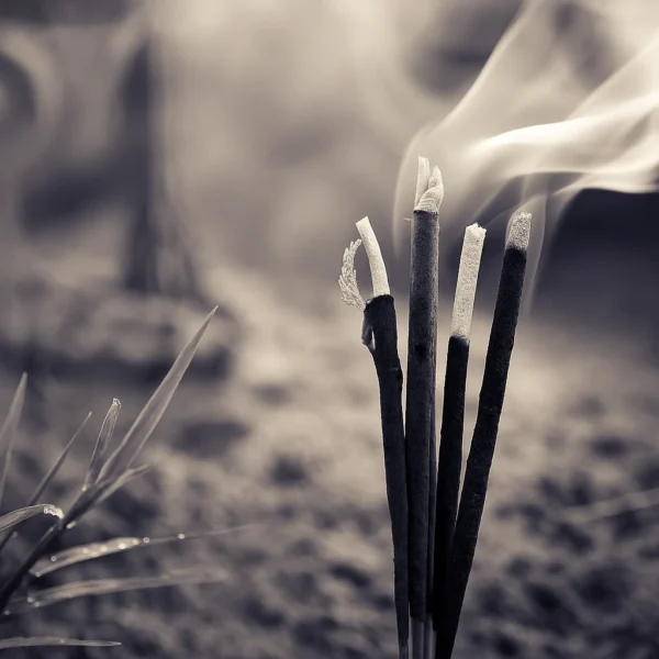 Incense | Fragrance for candles, soaps, home care | Scent and More
