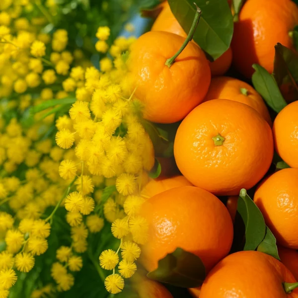 Mimosa & Mandarine | Fragrance for candles, soaps, home care | Scent and More