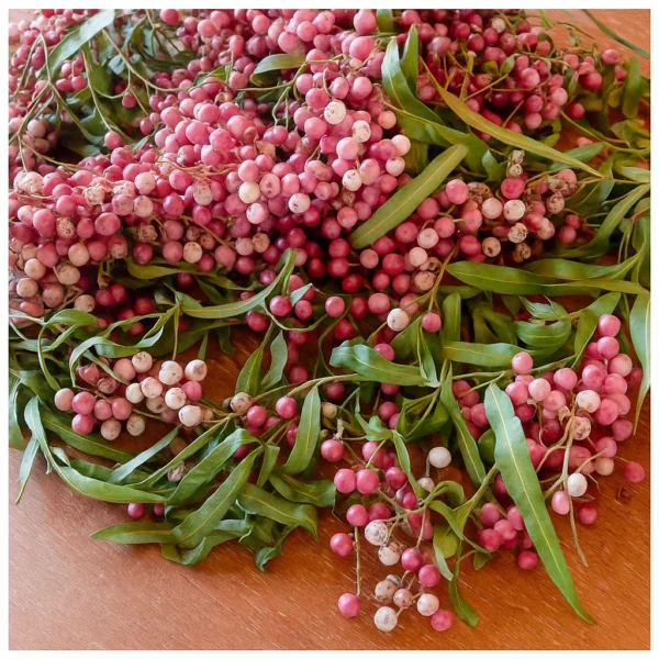 Pinkpepper & olibanum | Fragrance for candles, soaps, home care | Scent and More