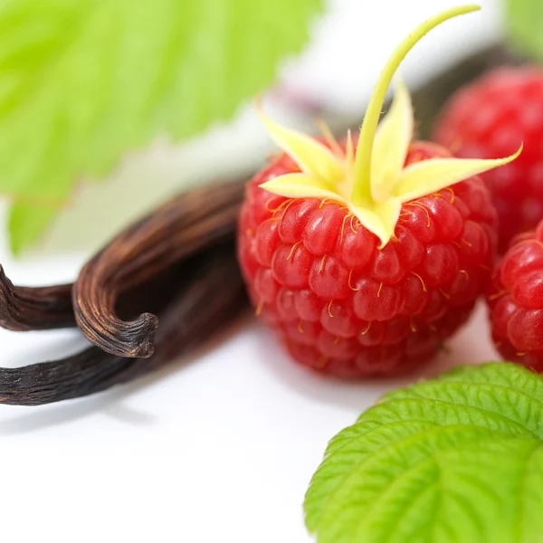 Raspberry Vanilla | Fragrance for candles, soaps, home care | Scent and More