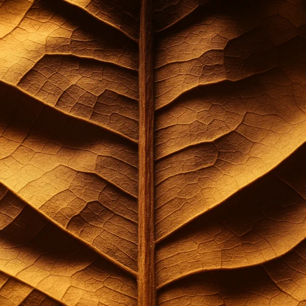 Suede & Tobacco | Fragrance for candles, soaps, home care | Scent and More